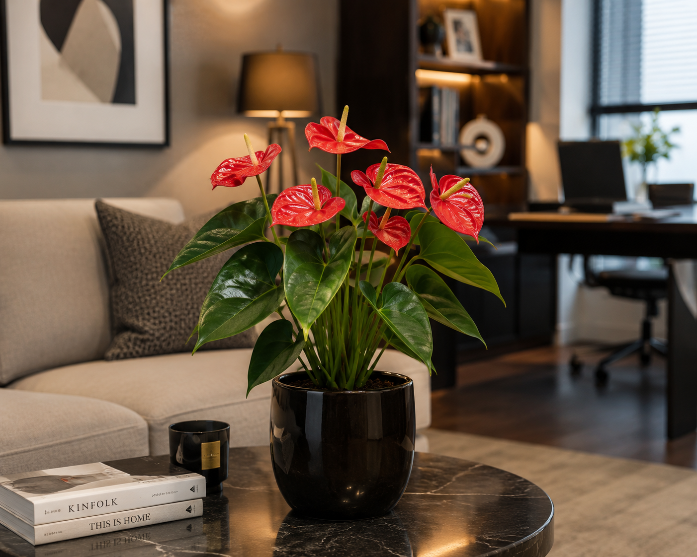 Antoryum Çiçeği (Anthurium)