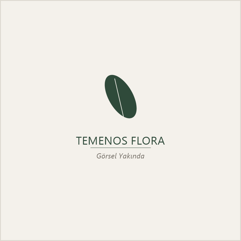 Moonlit Grace | Temenos Flora